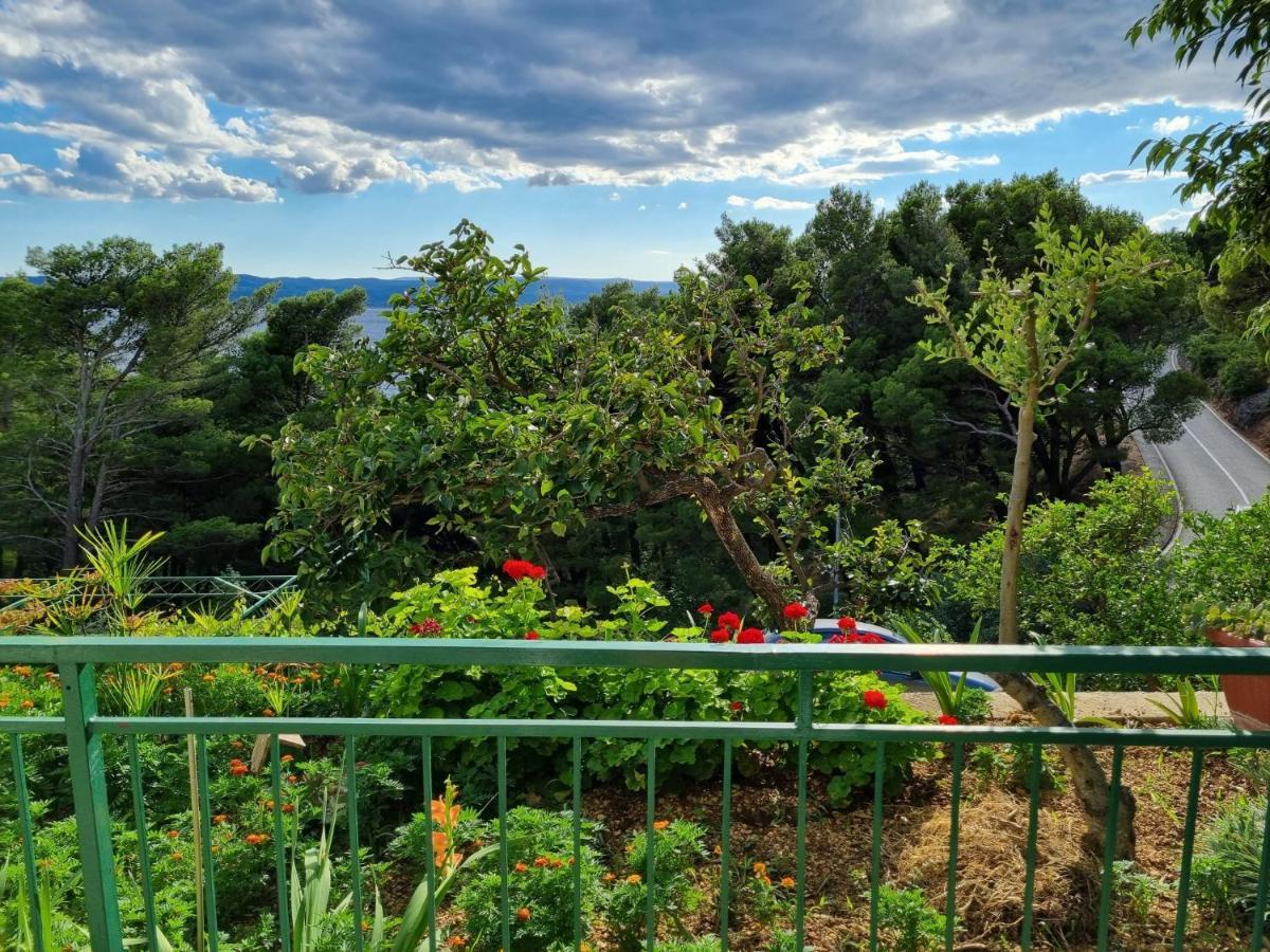 Guesthouse Dominovic Brela Buitenkant foto